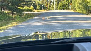 BMW 330 bild 14