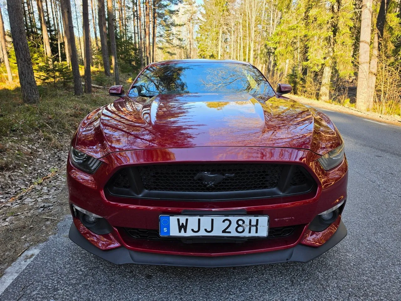 Vehicle image 8