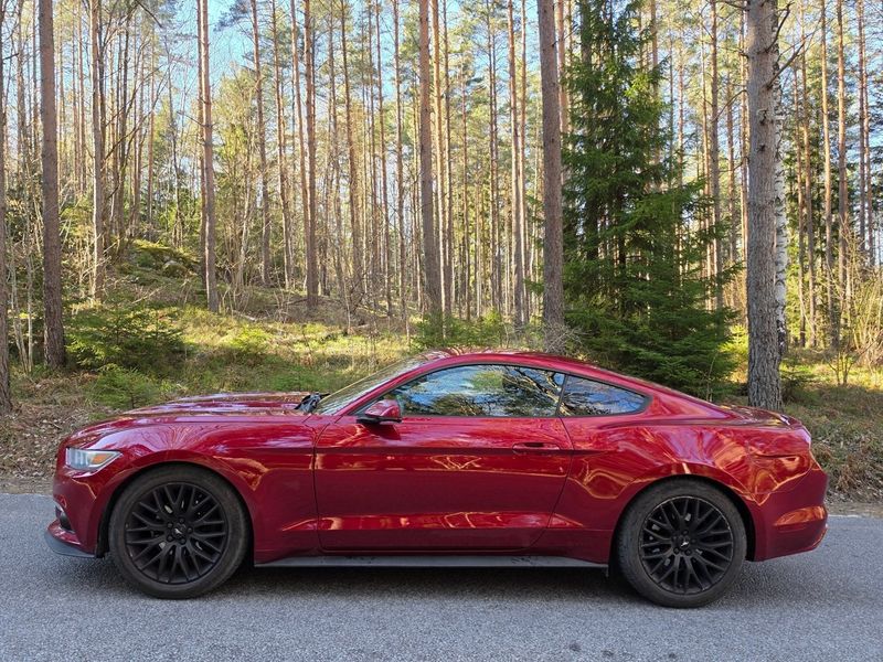 Ford Mustang bild 8