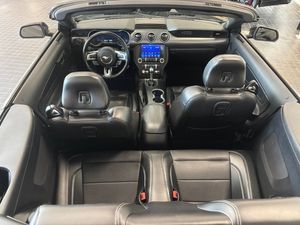 Ford Mustang bild 20