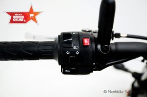 Kawasaki Vulcan bild 9