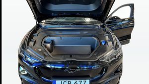 Ford Mustang Mach-E bild 12
