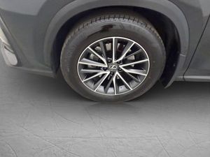 Lexus NX bild 34