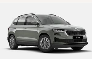 Skoda Karoq bild 1