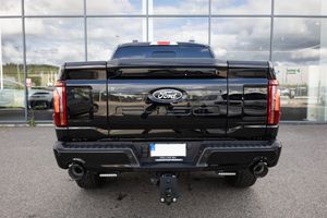 Ford F-150 bild 6