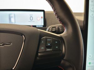 Ford Mustang Mach-E bild 22