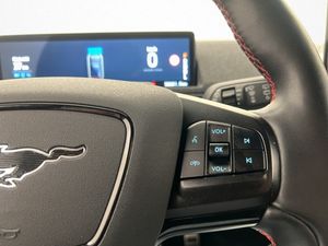Ford Mustang Mach-E bild 20
