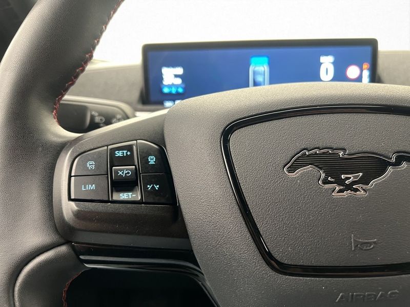 Ford Mustang Mach-E bild 18