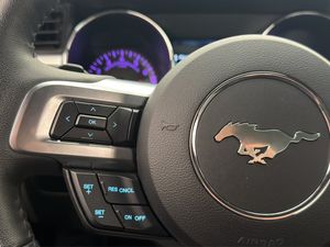 Ford Mustang bild 15