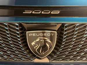 Peugeot 3008 bild 22