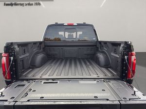 Ford F-150 bild 9