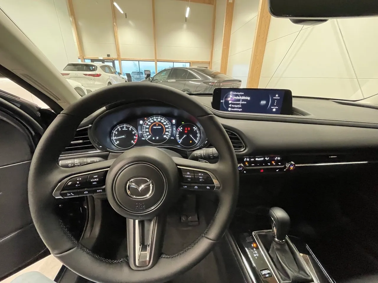 Vehicle image 20