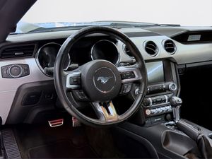 Ford Mustang bild 14