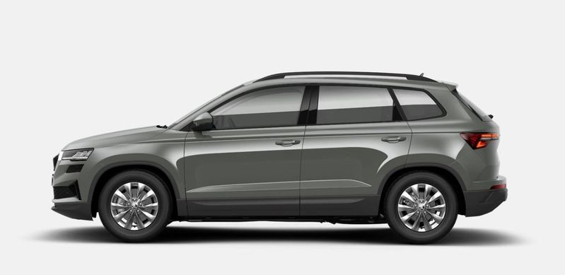 Skoda Karoq bild 2