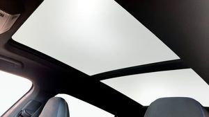 Volkswagen Passat bild 10