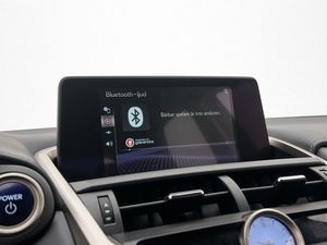 Lexus NX bild 19