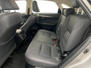 Lexus NX bild 13