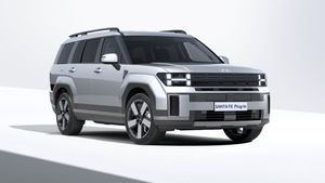 Hyundai Santa Fe bild 2