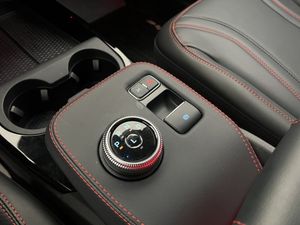 Ford Mustang Mach-E bild 25