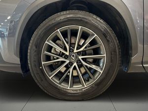Lexus NX bild 14