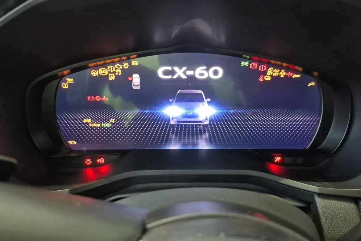 Vehicle image 31