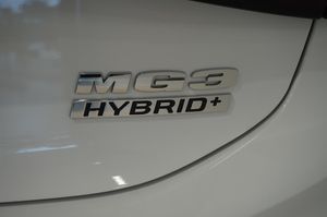 MG 3 bild 14
