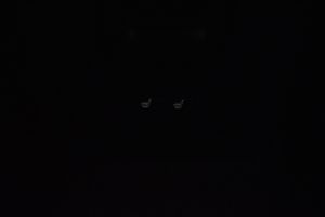 Volvo V40 bild 14
