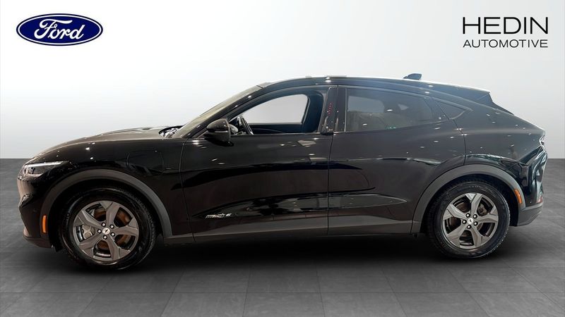 Ford Mustang Mach-E bild 6