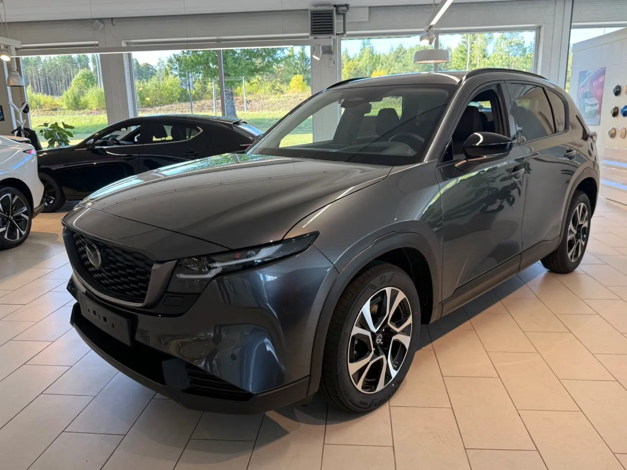 Vehicle image 6
