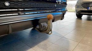 Audi Q8 bild 12
