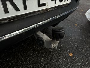 Mercedes EQC400 bild 20