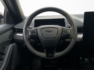 Ford Mustang Mach-E bild 28