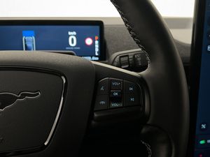 Ford Mustang Mach-E bild 29