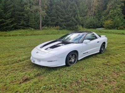 Pontiac Firebird 5.7 V8 SFI Hydra-Matic Targa Aut. - 1994