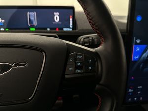 Ford Mustang Mach-E bild 19