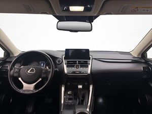 Lexus NX bild 13