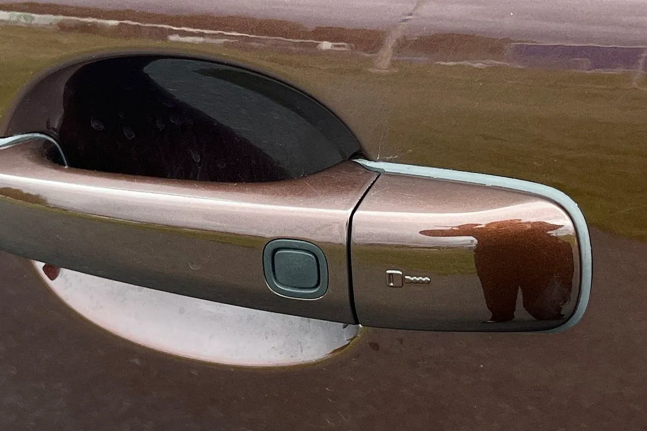 Vehicle image 34