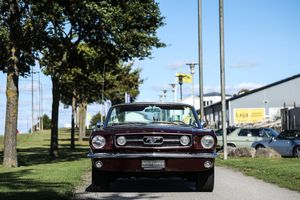 Ford Mustang bild 3