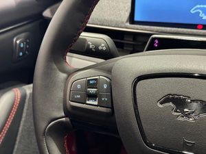 Ford Mustang Mach-E bild 11