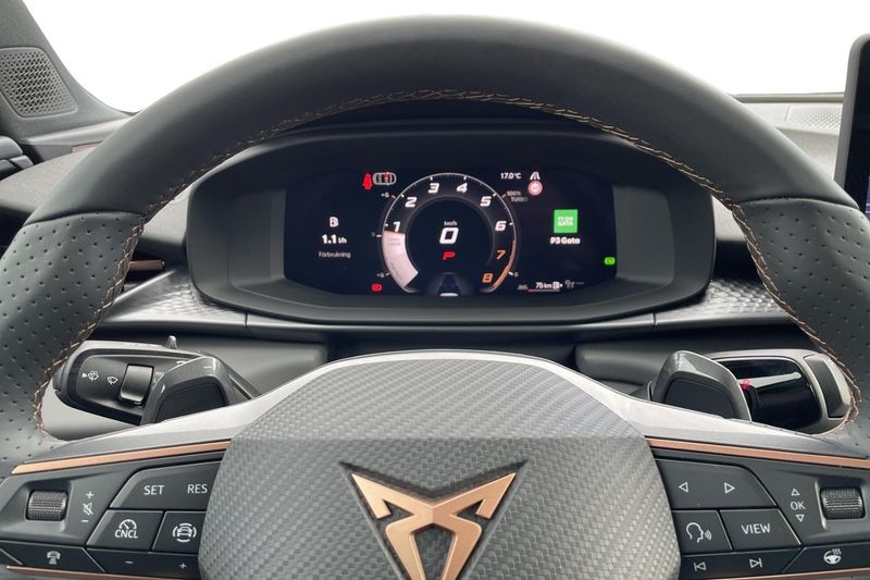 Cupra Terramar bild 18