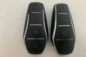 BYD Han bild 28