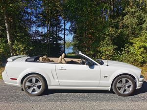 Ford Mustang bild 9