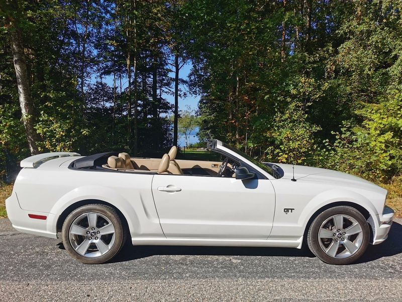 Ford Mustang bild 9