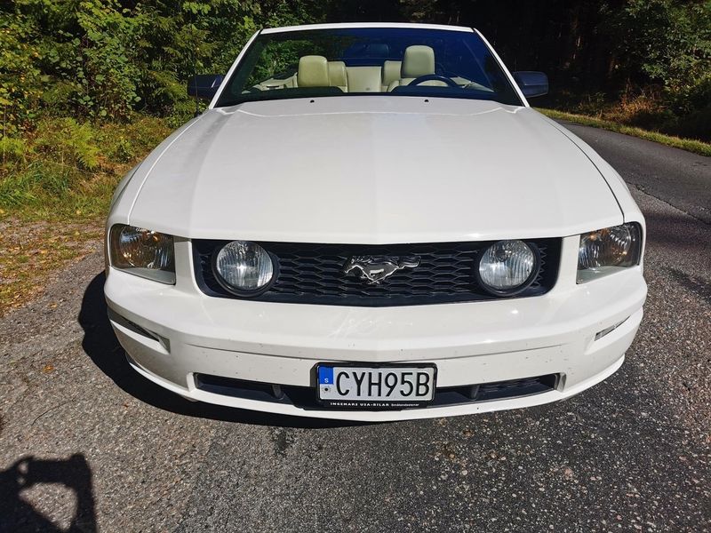 Ford Mustang bild 4