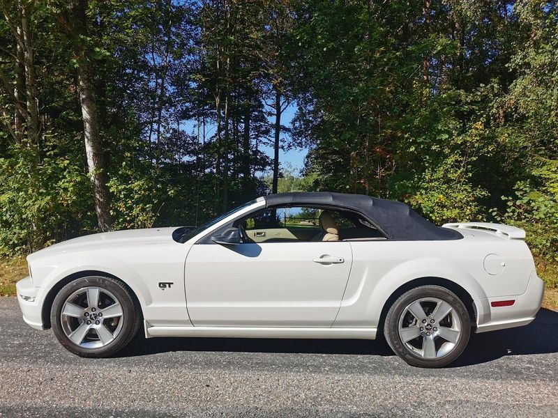 Ford Mustang bild 3