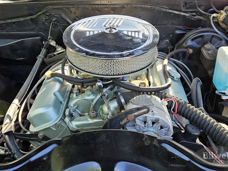 Pontiac Catalina bild 20