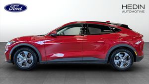 Ford Mustang Mach-E bild 6