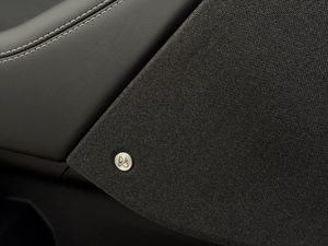 Ford Mustang Mach-E bild 15