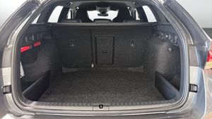 Skoda Octavia bild 11