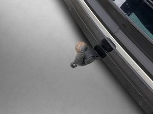 Volkswagen Tiguan bild 10